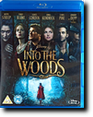 INTO THE WOODS (BR)